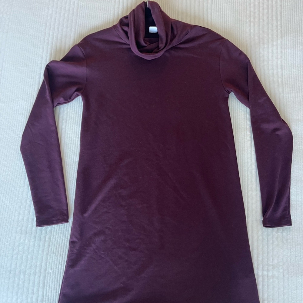 Simple maroon turtle neck dress